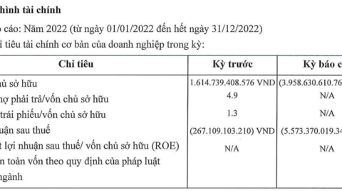 Doanh nghiệp nhận chuyển nhượng 1 phần dự án The Spirit of Saigon báo lỗ hơn 5.500 tỷ năm 2022