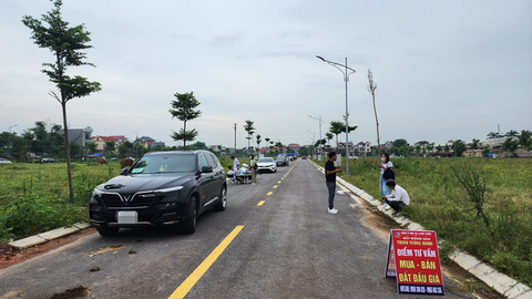 Nhu cầu tìm kiếm đất nền tăng mạnh hơn chung cư