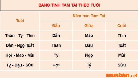 3 con giáp phạm hạn tam tai năm 2024 nên làm gì để hóa giải?