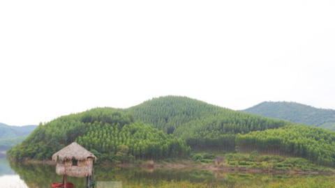 Đất cõi âm tăng chóng mặt, chuyên gia cảnh báo về tính pháp lý