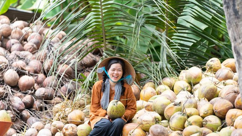 Tiềm năng các sản phẩm về ngành dừa trong năm 2024