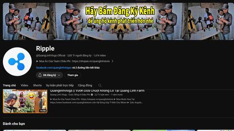 Hết Độ Mixi lại tới lượt Quang Linh Vlog thảng thốt vì bị hack kênh Youtube, chuyện gì thế này?