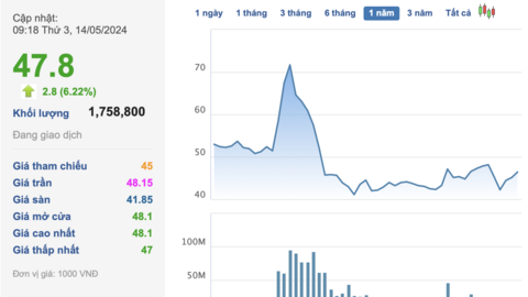 Cổ phiếu Vingroup tăng “bốc đầu” sau khi VinFast nhận đặt cọc mẫu xe điện mini VF 3