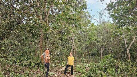 Kẹt giữa kho báu bô xít - Kỳ 2: Gián đoạn vì vướng mặt bằng