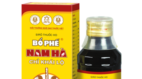 Dược Nam Hà báo lãi ròng năm 2023 ‘bốc hơi’ 54%, cắt giảm gần 1/3 nhân sự