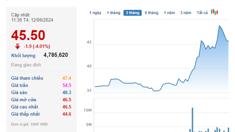 Cổ phiếu VEA lao dốc sau thông tin Tổng Giám đốc bị khởi tố, vốn hóa VEAM "bay" hơn 2.500 tỷ trong một buổi sáng