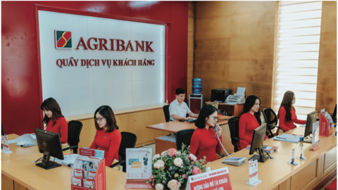 Ngân hàng thanh lý loạt lô đất diện tích trên 1000m2 tại Thủ Đức (TPHCM) và An Giang