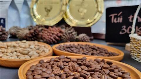 Kinh tế 6 tháng: Xuất siêu nông lâm thủy sản tăng trên 62%