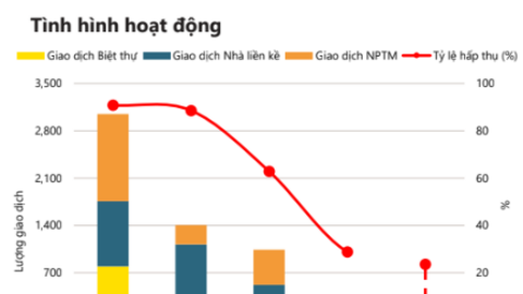 TPHCM: Giá nhà phố, biệt thự đã tăng gấp 3 lần trên thị trường sơ cấp trong 5 năm qua