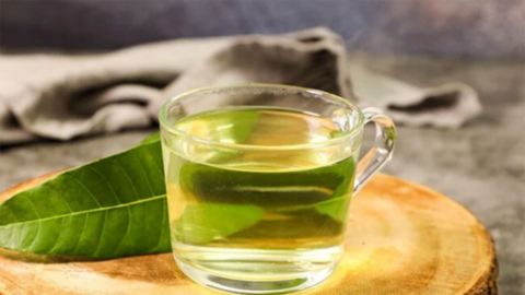 Lá xoài và 6 công dụng ít ai biết đến