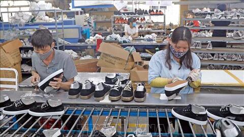 Xuất khẩu da giày năm 2024 dự kiến đạt khoảng 26 - 27 tỷ USD