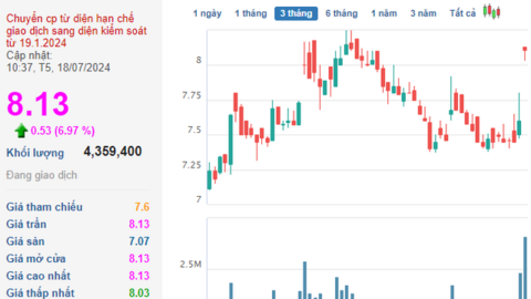 Cùng báo lãi đột biến quý 2, tăng cả nghìn % so với cùng kỳ, HBC "cháy hàng" còn VOS quay đầu giảm sâu