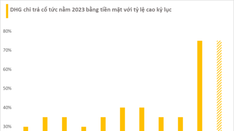 Công ty dược lớn nhất sàn chứng khoán báo lãi giảm mạnh sau khi dàn lãnh đạo cấp cao từ chức, chuẩn bị "lăn chốt" trả cổ tức tiền mặt cao kỷ lục