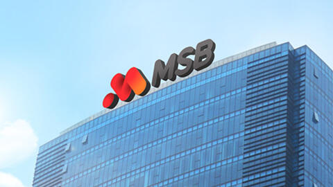 11 cổ đông nắm giữ 35% vốn MSB: Nhiều doanh nghiệp liên quan đến ROX Group