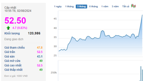 Bất chấp VN-Index giảm 36 điểm từ đầu tuần, cổ phiếu của một DN Nhà nước sở hữu nhiều mỏ khoáng sản lại tăng 46% sau khi báo lãi kỷ lục