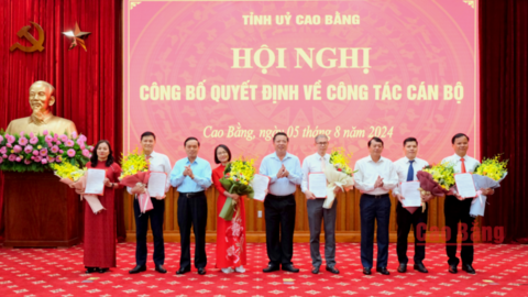 Chỉ định Bí thư thư Huyện ủy; bổ nhiệm 3 Phó Giám đốc Sở,...