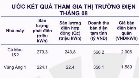 "Đại gia" Nhà nước vừa nhảy vào cuộc đua làm trạm sạc xe điện báo doanh thu 8 tháng gần 20.000 tỷ