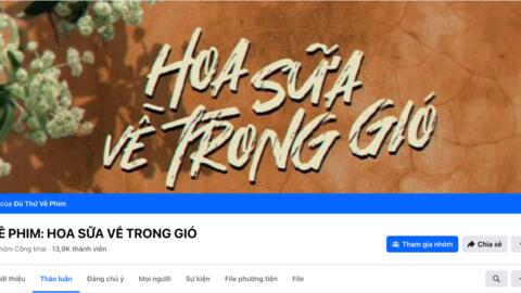 "Giải mã" sức hút của "Hoa sữa về trong gió"