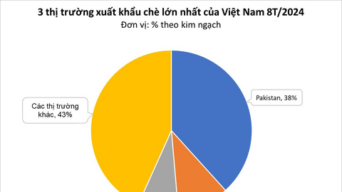 Trung Quốc săn hàng nghìn tấn vàng trên cây của Việt Nam: xuất khẩu tăng hơn 200%, chỉ cần ngon bao nhiêu cũng mua hết
