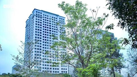 Có nên bán chung cư Hà Nội để mua đất trung tâm của tỉnh lân cận?