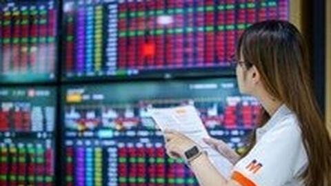 Lịch sự kiện và tin vắn chứng khoán ngày 29/10/2024