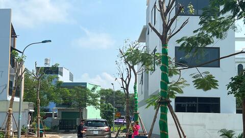 “Năm 2025, giá bất động sản sẽ bắt đầu nhảy theo Luật”