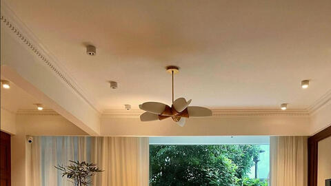 Ngôi nhà "chữa lành" gây sốt: Sống ở đây chủ nhân thấy lòng bình yên, bớt sân si