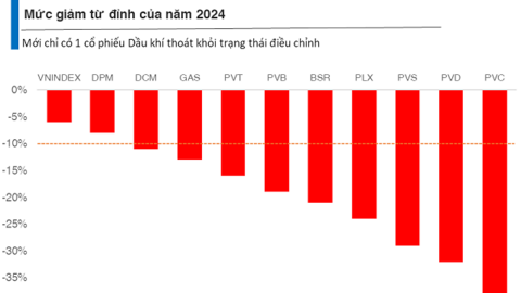 Cổ phiếu dầu khí chưa giúp nhà đầu tư “tránh bão” khi thị trường bất lợi