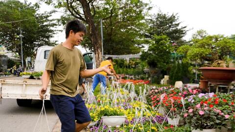 Đà Nẵng: Hoa tết rộn ràng xuống phố, chủ vườn ngóng chờ người mua