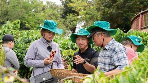 Si Farmstay - mô hình du lịch trải nghiệm nông nghiệp thú vị