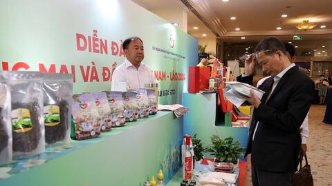 Lào tiếp tục là thị trường đầu tư ra nước ngoài lớn nhất của doanh nghiệp Việt Nam