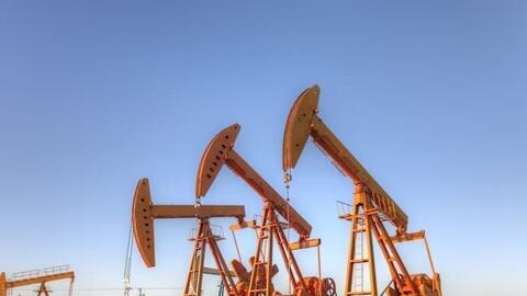 Dầu hồi phục nhẹ từ mức đáy nhiều tuần