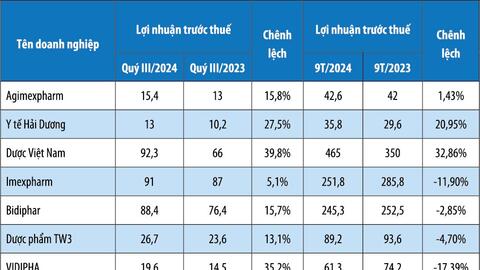 Lợi nhuận doanh nghiệp dược phân hóa trong năm 2024