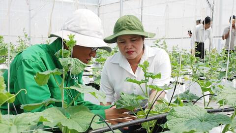 Phát triển đội ngũ khuyến nông chuyên sâu, đẩy mạnh ứng dụng công nghệ số