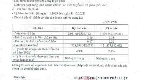 Doanh nghiệp lỗ nặng nhưng báo lãi nhầm hơn 120 tỷ đồng