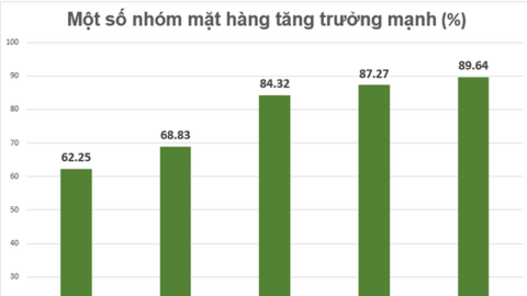 Singapore tăng mạnh nhập khẩu hàng Việt Nam: Đâu là sản phẩm khiến đảo quốc này đặc biệt ưa chuộng?