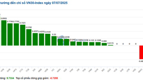 Nhịp đập Thị trường 07/07: Dòng tiền chọn nhóm tài chính, VN-Index tăng hơn 8 điểm
