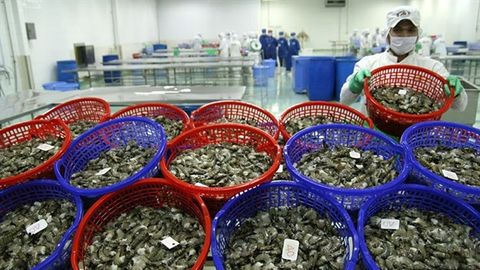 Trung Quốc chi đậm mua loài ‘thuỷ sản tỷ USD’, nỗi lo từ thị trường Mỹ