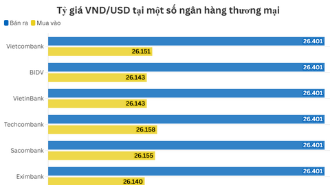 Ngày 24/11: Tỷ giá trung tâm tăng 8 đồng