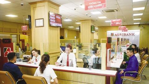 Sáp nhập hợp tác xã để hiện thực hóa kinh tế tập thể hiện đại