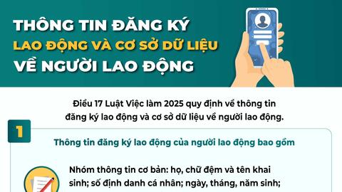 Thông tin đăng ký lao động và cơ sở dữ liệu về người lao động