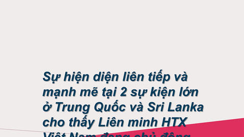 Kinh tế hợp tác, HTX tháng 11: Thúc đẩy chuỗi giá trị với doanh nghiệp, hướng ra biển lớn