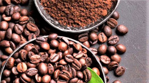 Xuất khẩu nông lâm thủy sản 11 tháng vượt kỷ lục, đạt hơn 64 tỷ USD