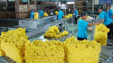 Mỏ vàng bị lãng quên: Ngành cao su thiên nhiên âm thầm báo lãi kỷ lục