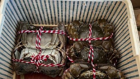 Cua lông Trung Quốc giảm giá sâu, bán tràn chợ Việt: Người nuôi trong nước nói gì?