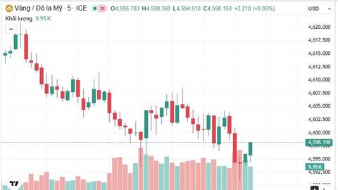 Ngày 16/1: Giá vàng trong nước đứng yên, giá vàng thế giới giảm mạnh