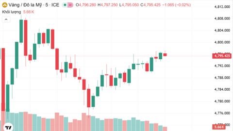 Ngày 22/1: Giá vàng trong nước quay đầu giảm