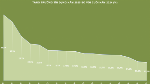 Ngân hàng mở rộng dư nợ, chất lượng còn phân hóa