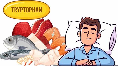 Ngủ ngon hơn nhờ bổ sung tryptophan đúng cách