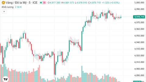Ngày 13/2: Giá vàng trong nước giảm mạnh